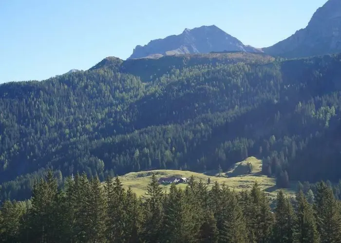 Daire Paradies 001 *