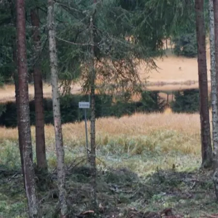 Paradies 001 * Arosa